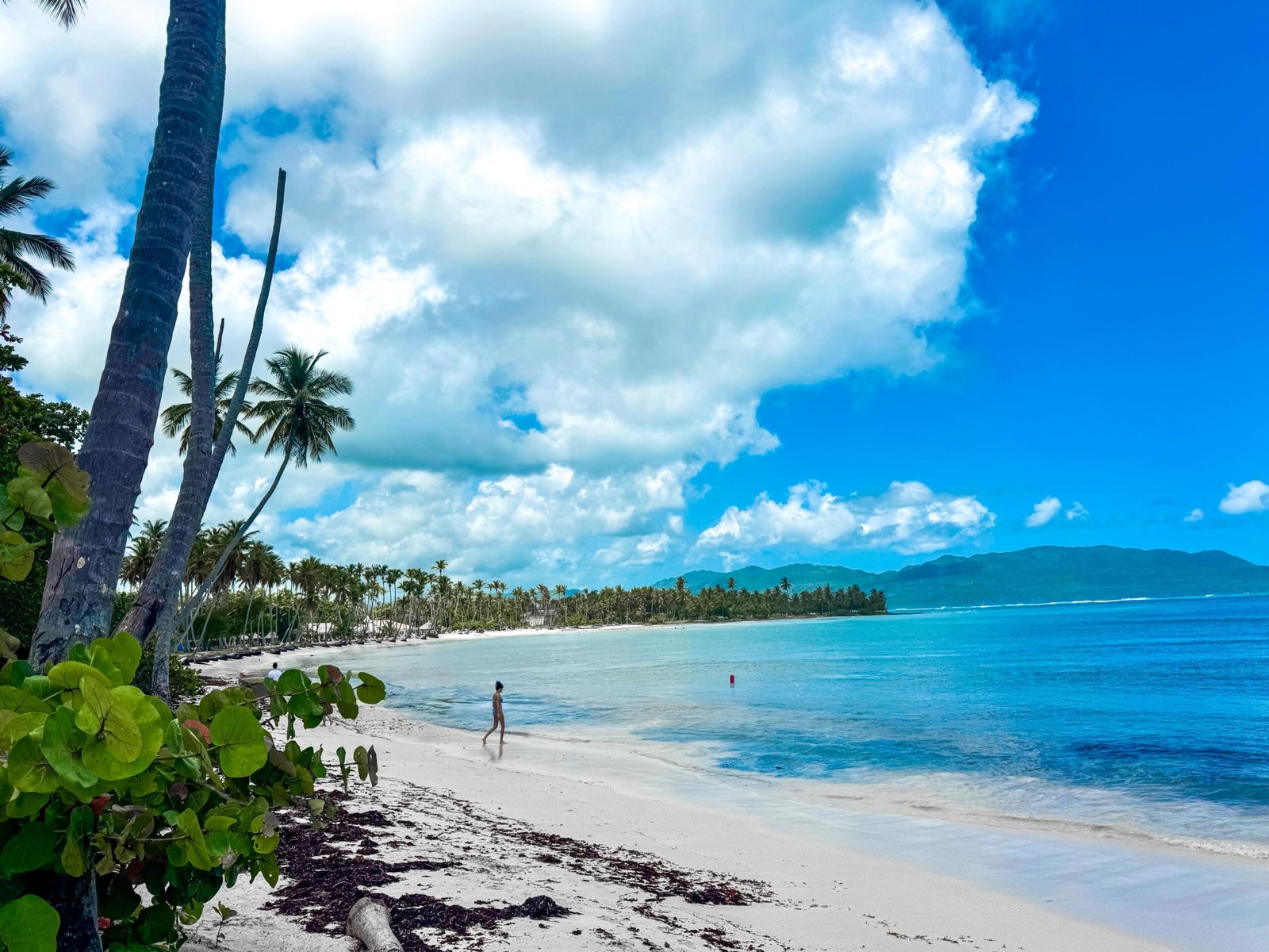 Dani GuestHouse Dani GuestHouse